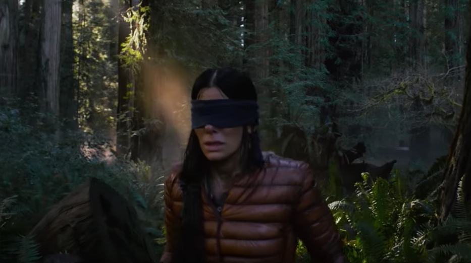 WATCH: A sneak peek of Sandra Bullock’s ‘Bird Box’ arrives