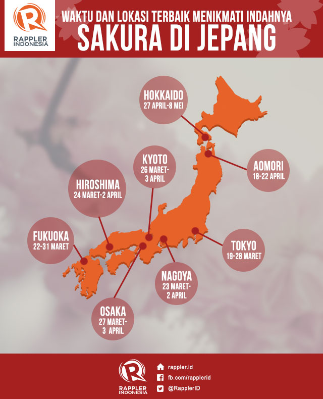 8 lokasi terbaik untuk menikmati indahnya bunga  sakura  di 