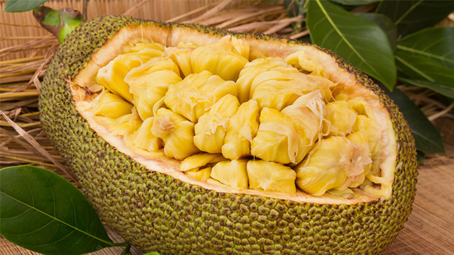 India S Superfood Jackfruit Goes Global