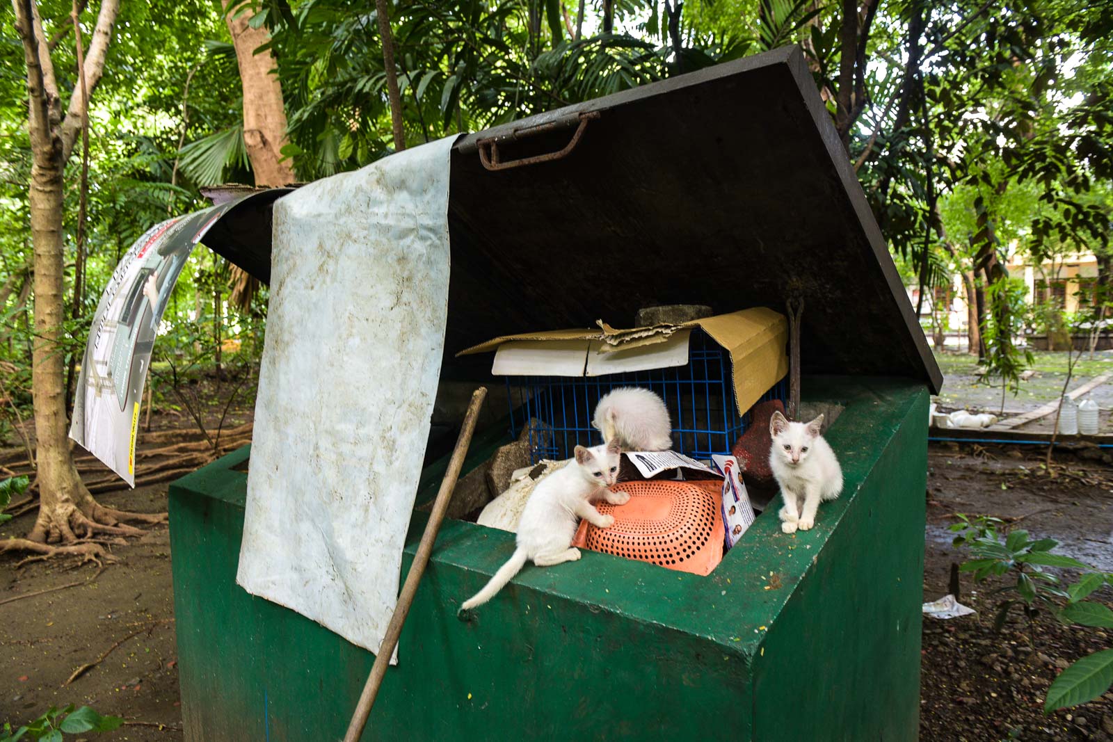 in-photos-an-afternoon-stroll-inside-arroceros-forest-park