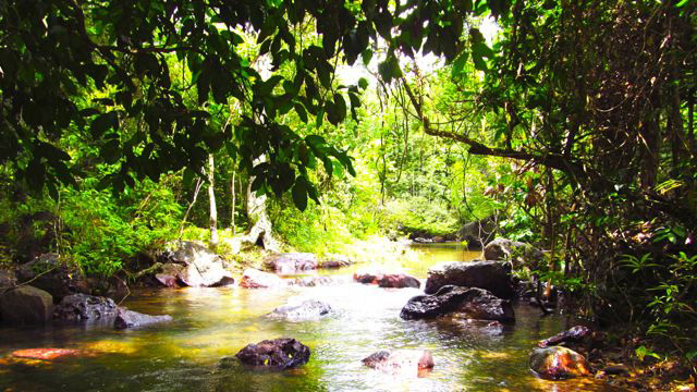 Finding El Nido’s Nagkalit-kalit Falls